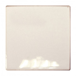 n°38 - 6x6 cm en coulage