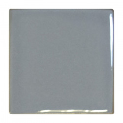 n°61 - 6x6 cm en coulage