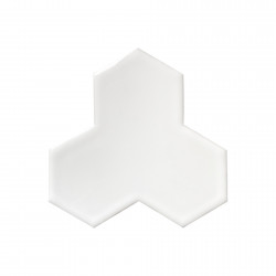 Williams 2D 14,8x14,8 cm en étirage