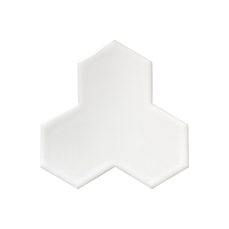 Williams 2D 14,8x14,8 cm en étirage Williams 2D 14,8x14,8 cm en étirage
